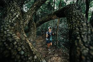 BIB: 
                            <button type="button" onclick="openModal(25392132)" class="btn btn-primary btn-sm float-right btn-popup" data-toggle="modal" data-target=".modal-high-quality">
                        <i class="fas fa-shopping-cart"></i> Add to Cart
                    </button>
                                            <button type="button" onclick="isThisMe(25392132, true)" class="btn btn-success btn-sm float-right btn-popup btn-isme hidden" data-toggle="tooltip" data-placement="bottom" title="นี่คือรูปของคุณใช่ไหม คลิกที่นี่เพื่อเอาเข้าอัลบั้ม">
                        <i class="fas fa-plus"></i> Add to album
                    </button>
                    <button type="button" onclick="isThisMe(25392132, false)" class="btn btn-warning btn-sm float-right btn-popup btn-isnotme hidden">
                        <i class="fas fa-ban"></i> Remove from album
                    </button>